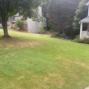 Bush Trimming by Cristopher Beltran reviewed on May 23, 2025