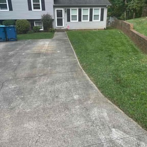 Bush Trimming by Precision Landscaping &amp; more reviewed on August 2, 2022