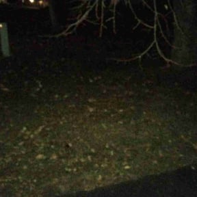 Leaf Removal by CUT Tulsa Lawn Co. reviewed on April 24, 2022