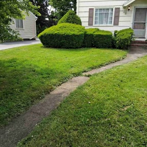 Leaf Removal by Shane Ray reviewed on July 25, 2022