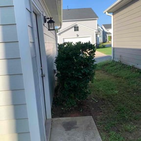 Bush Trimming by Tropicare Landscape and Maintenance reviewed on July 25, 2022