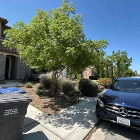 Bush Trimming by Hauling & Lawn Bros reviewed on April 15, 2025
