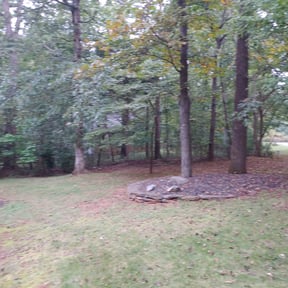 Cleanups by J.V LANDSCAPING BEARS reviewed on August 26, 2021