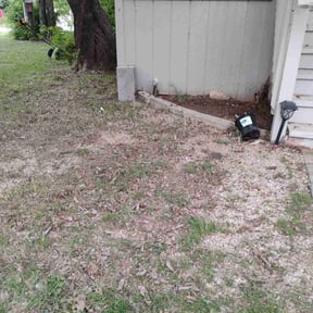 Leaf Removal by Danny’s Lawn Service reviewed on July 1, 2022