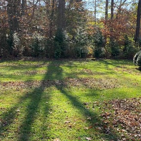 Leaf Removal by P&J Landscaping LLC reviewed on August 1, 2022