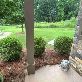 Bush Trimming by Alfas landscaping reviewed on June 29, 2022