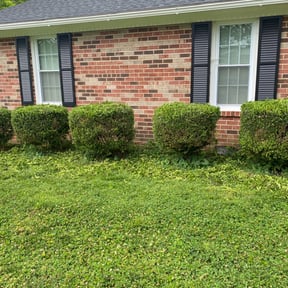 Bush Trimming by Household Maintenance & Lawn Care Services reviewed on December 14, 2024