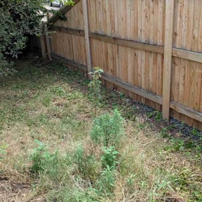 Weeding by Jernie Lawn Care reviewed on June 30, 2022