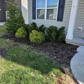 Bush Trimming by Schine's Lawn Care reviewed on July 7, 2022