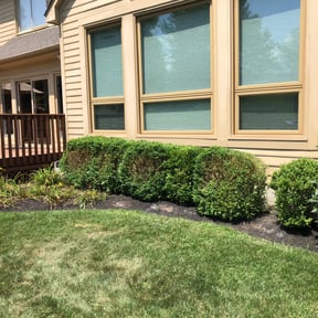 Landscaping by Cavender Landscaping reviewed on May 3, 2022