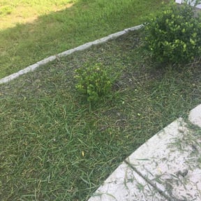 Flower Bed Weeding by Together Landscape reviewed on July 14, 2022