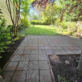 Leaf Removal by Al Vazquez Landscape Maintenance LLC. reviewed on September 6, 2024