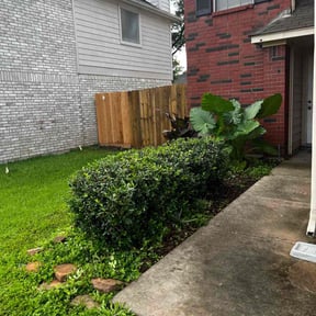 Bush Trimming by Brooks lawn Care reviewed on May 12, 2022