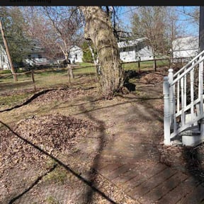Leaf Removal by Cutting up Lawn and Tree Care reviewed on June 8, 2022