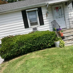 Bush Trimming by Show Up Show Off Landscaping And More reviewed on July 21, 2022