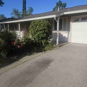 Bush Trimming by Schlener Lawn Care reviewed on July 3, 2022