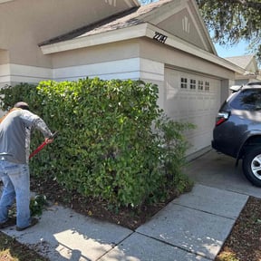 Bush Trimming by Ariel and daddy lawn care reviewed on July 7, 2022