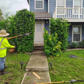 Bush Trimming by The Lawn Care Guy reviewed on July 8, 2021