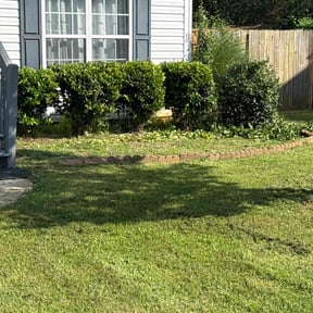Bush Trimming by Bonsai Landscaping & Designs reviewed on July 22, 2022