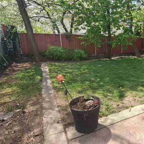 Leaf Removal by Good Guys Lawn and Fence reviewed on April 19, 2022