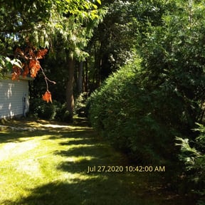 Bush Trimming by VonBerge Family Lawncare reviewed on November 15, 2024