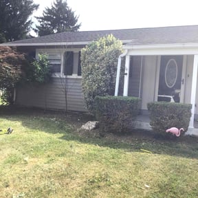 Bush Trimming by Magik Compass LLC reviewed on December 21, 2021