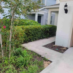 Bush Trimming by Lawn Angel reviewed on June 13, 2025