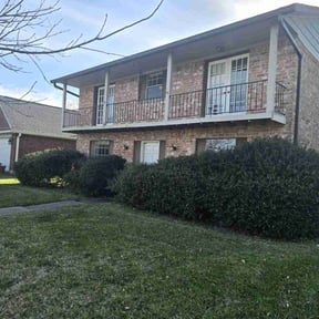 Bush Trimming by Marroquin Landscaping reviewed on July 3, 2025