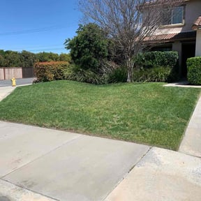 Bush Trimming by Maciel Landscaping reviewed on March 28, 2025