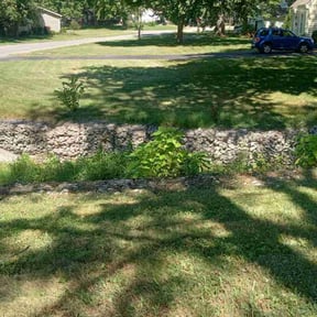 Bush Trimming by East Side Property Services LLC reviewed on June 16, 2022