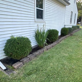 Flower Bed Weeding by Michael McDaniel reviewed on July 22, 2022