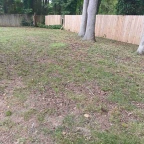 Weeding by Mow-4-You reviewed on June 24, 2022