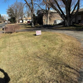 Leaf Removal by Kelly Lawn Care reviewed on May 18, 2022