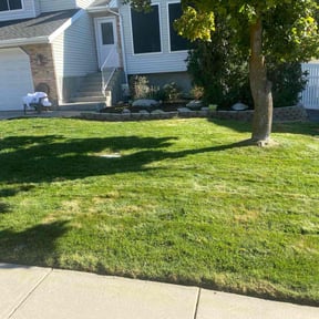 Leaf Removal by Pristine Professionals reviewed on June 23, 2020