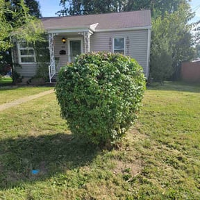 Bush Trimming by Rocking J Lawn Care reviewed on June 3, 2022