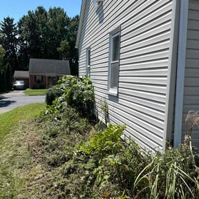 Bush Trimming by AG lawn service reviewed on June 27, 2022