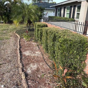 Bush Trimming by 3DM reviewed on July 24, 2022