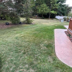 Bush Trimming by Thomas Kelly Home Services reviewed on May 30, 2022