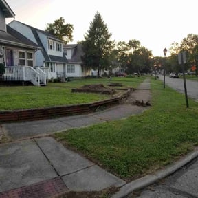 Cleanups by TruGreen LawnCare reviewed on June 11, 2025