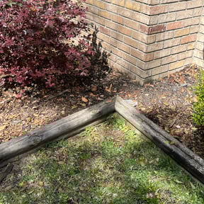Flower Bed Weeding by JDAA Lawn Care Service reviewed on September 7, 2024