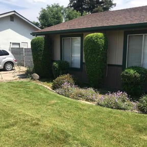 Bush Trimming by Landscape Management reviewed on April 13, 2022