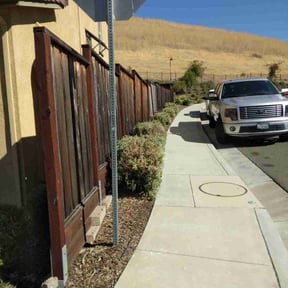 Bush Trimming by Unique lawn care service reviewed on May 28, 2022