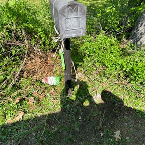 Bush Trimming by james lawn service reviewed on April 26, 2022