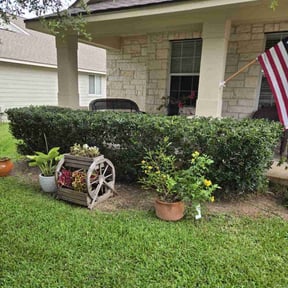 Bush Trimming by Elite Lawn care reviewed on August 5, 2021
