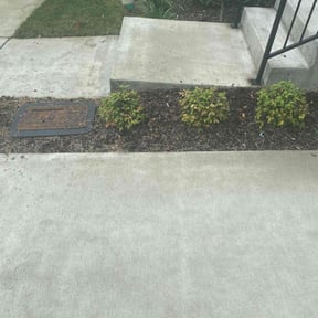 Flower Bed Weeding by Towery's Lawn Care reviewed on June 28, 2019