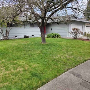 Bush Trimming by Maverick Lawn And Services LLC reviewed on June 15, 2022
