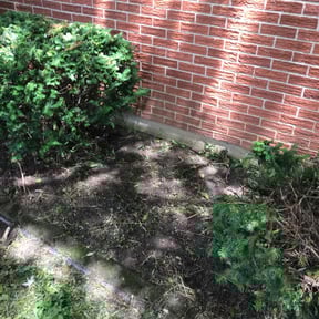 Cleanups by MLS Investment Group reviewed on June 15, 2021
