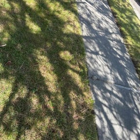 Cleanups by Jay Landscaping reviewed on April 13, 2022