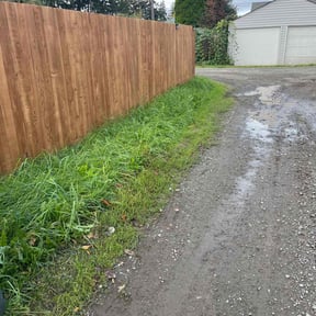 Bush Trimming by Daddy's home and lawn services reviewed on June 2, 2022