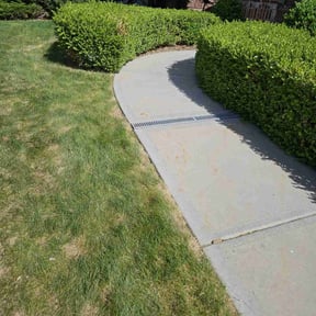Bush Trimming by Lindsay’s lawncare reviewed on July 16, 2022
